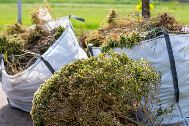Professional Junk Removal Services in South Duxbury, MA